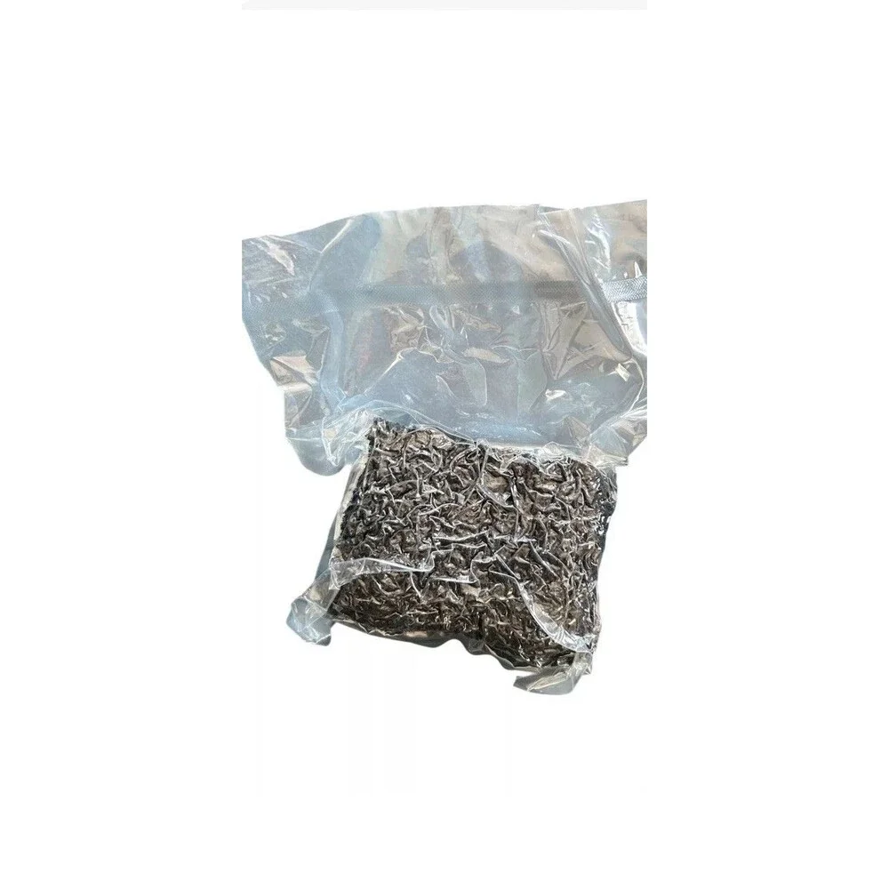 Bio Sponge Filter Media Pad Cut-to-Fit Foam 1.57